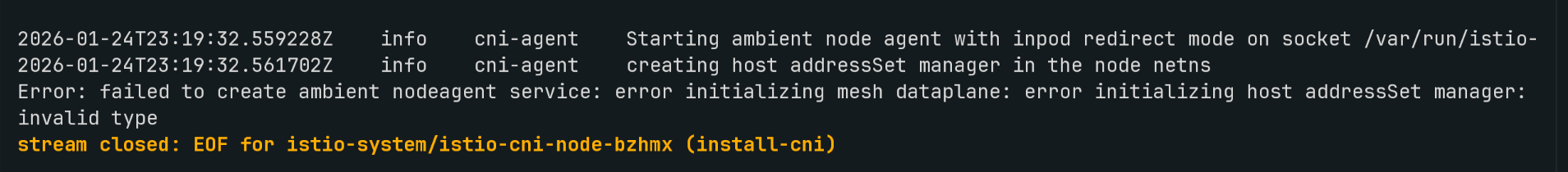 istio error